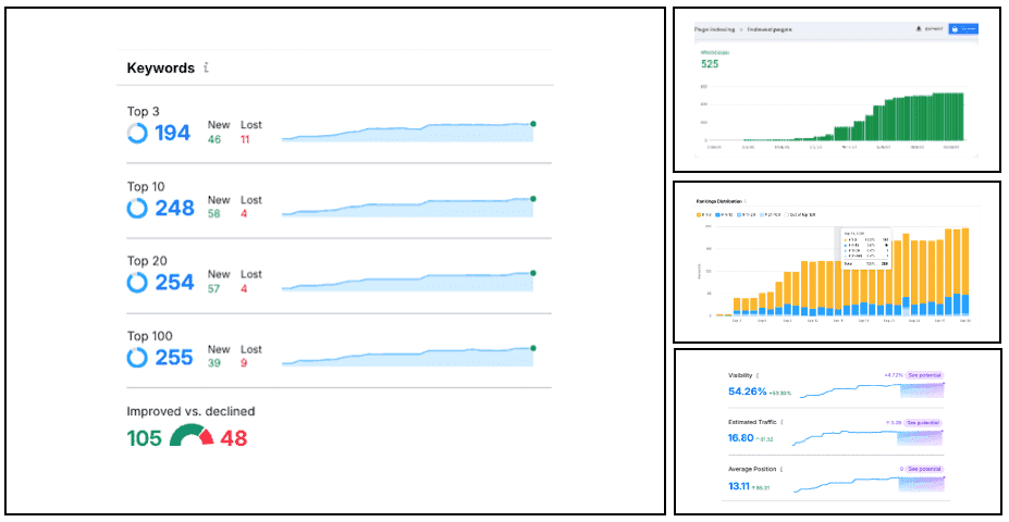 Search rankings dashboard